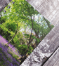 Bluebell Woodland A6 Notebook - Image 2
