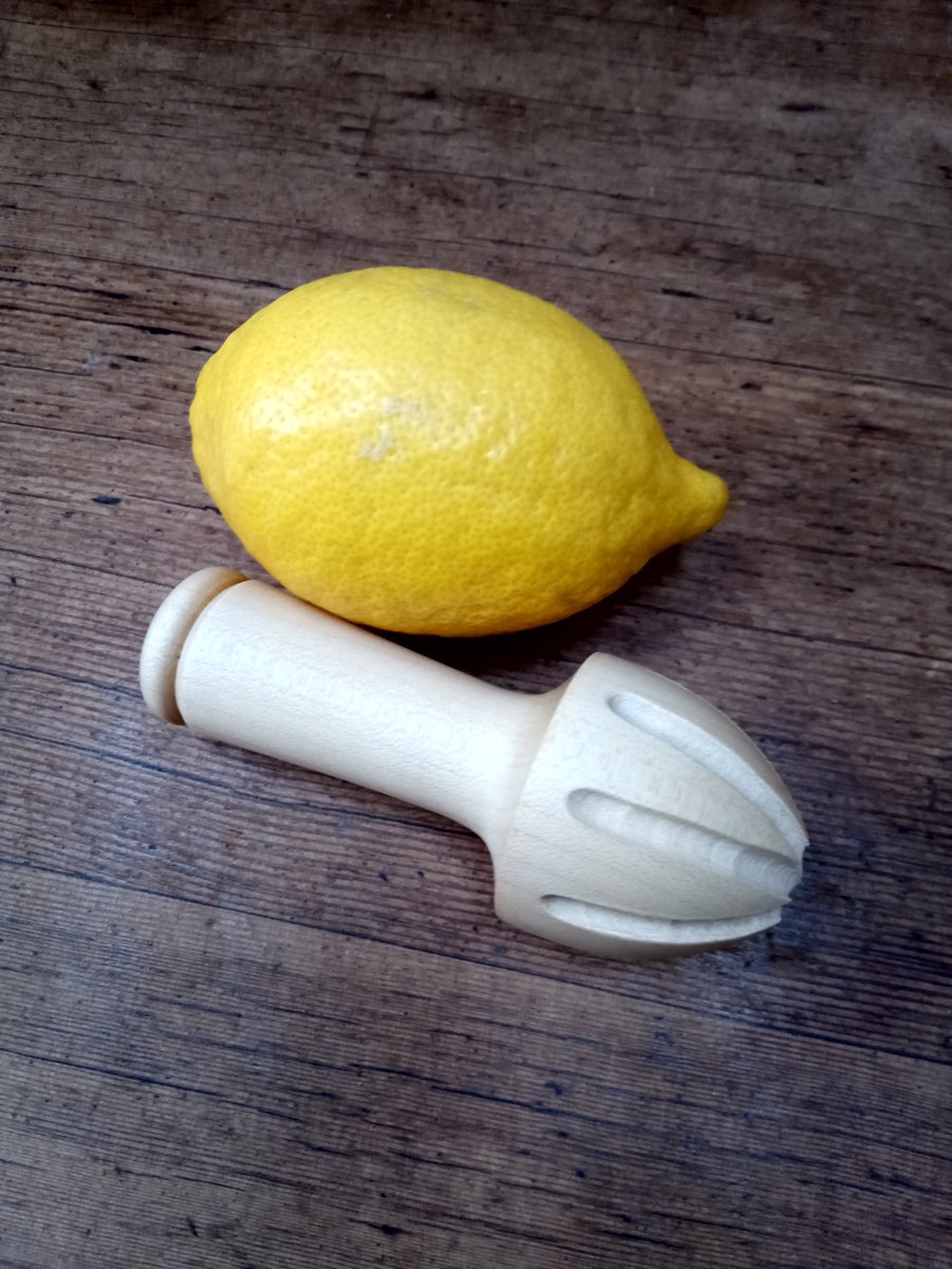 Juicer Squeezer & Reamer for Lemons Limes Oranges and Tangerines 