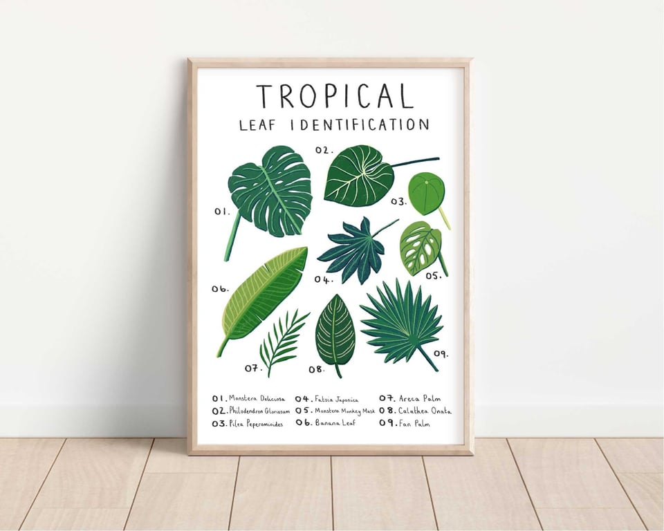 Tropical Leaf Identification Print: Botanical Illustration (A5 A4 A3)
