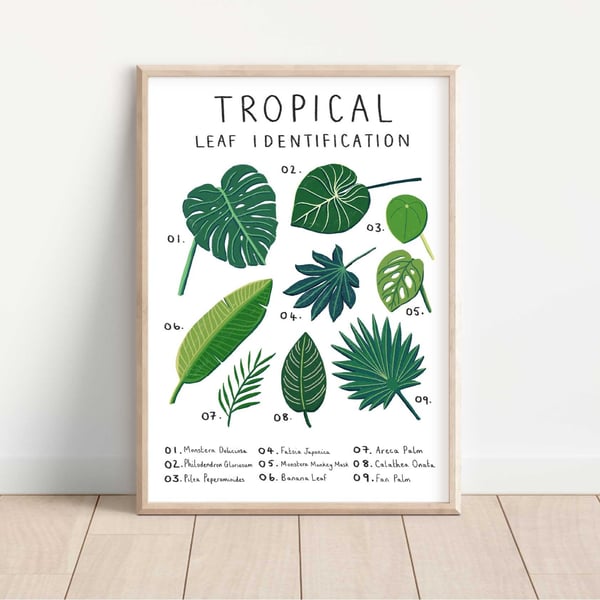 Tropical Leaf Identification Print: Botanical Illustration (A5 A4 A3)
