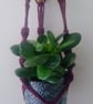 Macrame Plant Hangers - Image 6