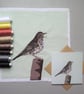 Song Thrush card, blank - Image 2