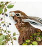 Baby Hare eating Blackberries A4  Giclee Print