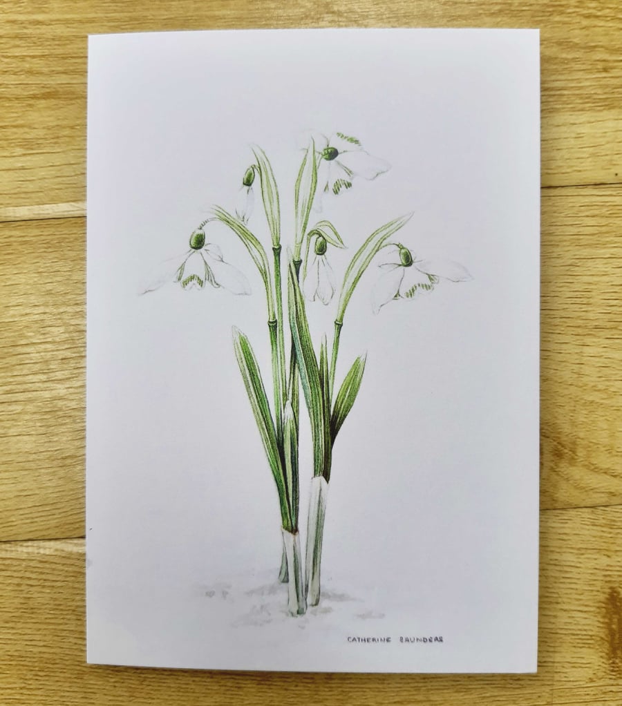 Snowdrops greetings card (single or pack of 5) with white envelope