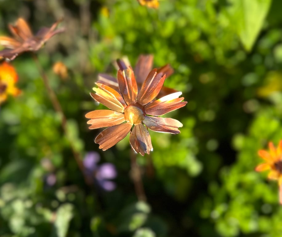 Copper and Green