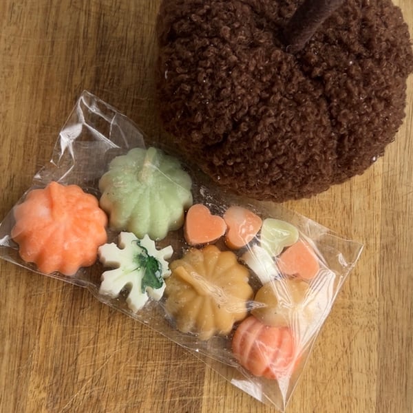 Autumn Wax Melts - Pumpkin Spice