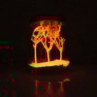 Tiny Glow in the Dark Forest - READY TO SHIP