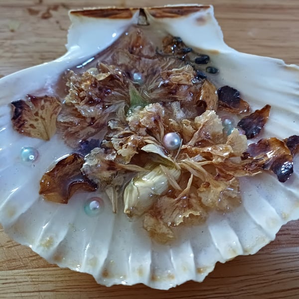 Plum Scallop Shell Ornament with Dried Flowers, Preserved in Resin