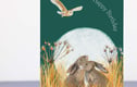 Birthday Cards
