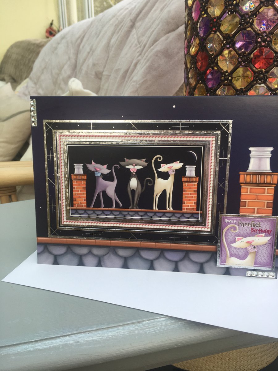 Purrfect cats on a roof birthday card