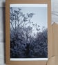 Winter Frost Photo Greetings Card (B), Christmas Card, Notecard - Image 2