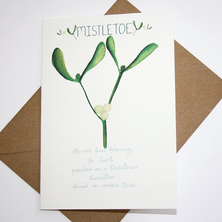 Mistletoe- British wild flower Christmas card