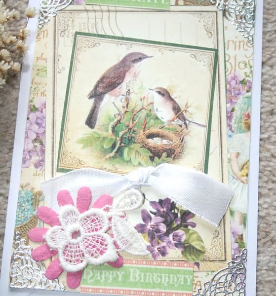 Vintage-style Birthday Card - Special Birthday Card - Bird Birthday Card