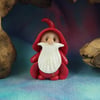 Gnome 'Nicholas' hiding in plain sight Undercover Santa by Ann Galvin