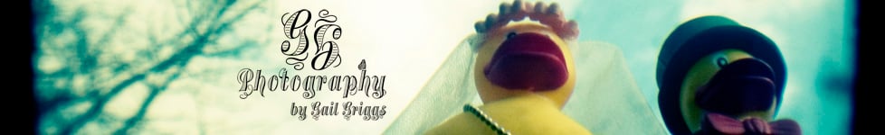 Photography by Gail Griggs