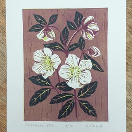 Christmas Rose - linoprint