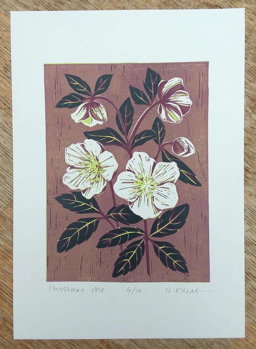 Christmas Rose - linoprint