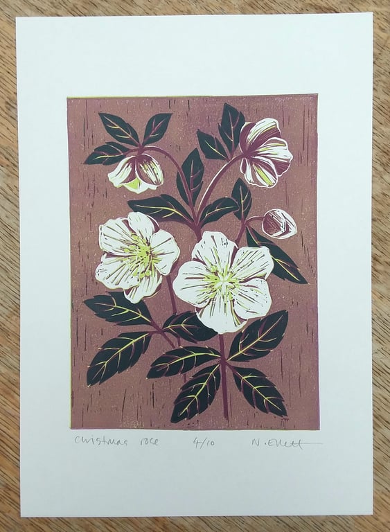 Christmas Rose - linoprint