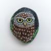 Little Owl hand painted stone.