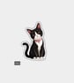 Funny Novelty Vinyl Sticker - Cute Cat Sitting
