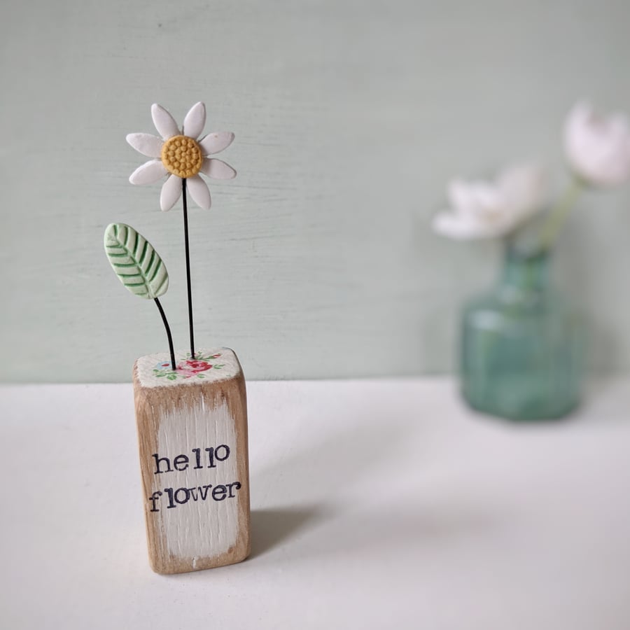 Clay Daisy Flower in a Printed Wood Block 'hello flower'