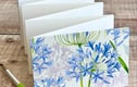 Mini Watercolour Concertina Sketchbooks