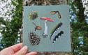 Printed greetings cards