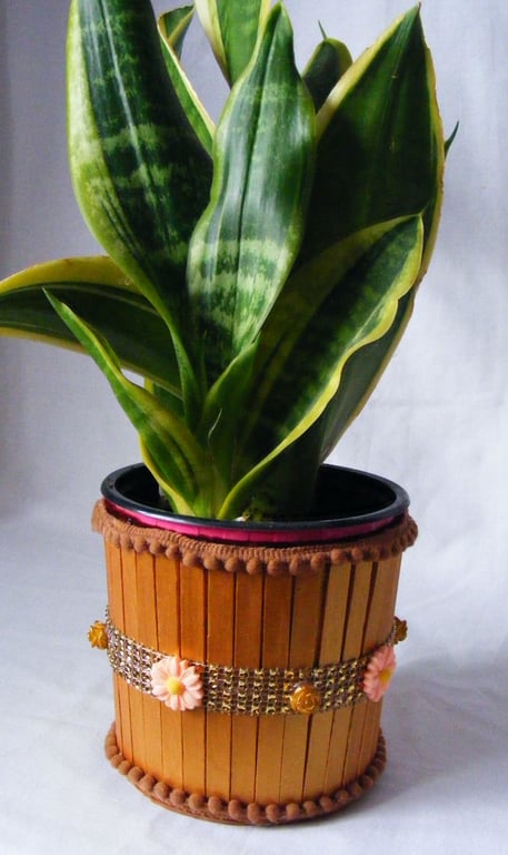 Handmade metallic gold indoor plant pot holder. 