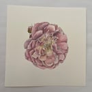 Garden rose painting 