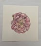 Garden rose painting 