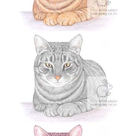 Three Cats -  Birthday Card