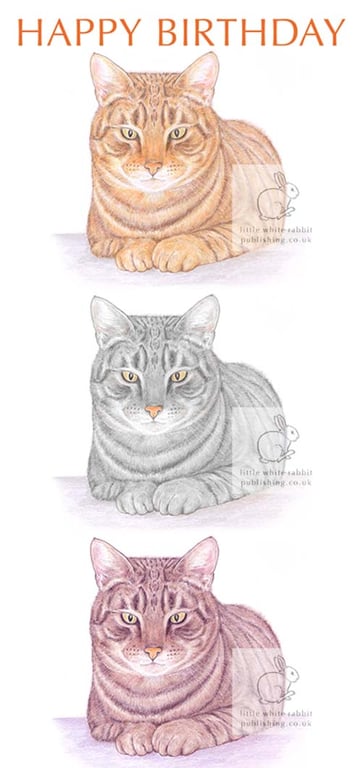Three Cats -  Birthday Card