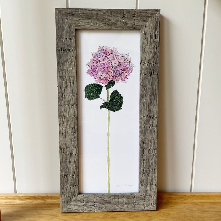 'Pink Hydrangea' 10" x 4" Framed Print