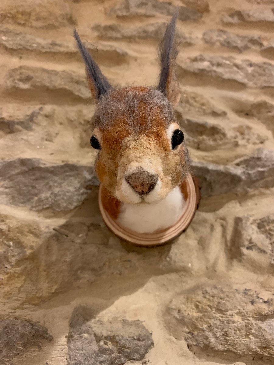 Handmade Faux Taxidermy Red Squirrel Head