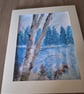 Winter woodland lake reflective lake  - Image 5