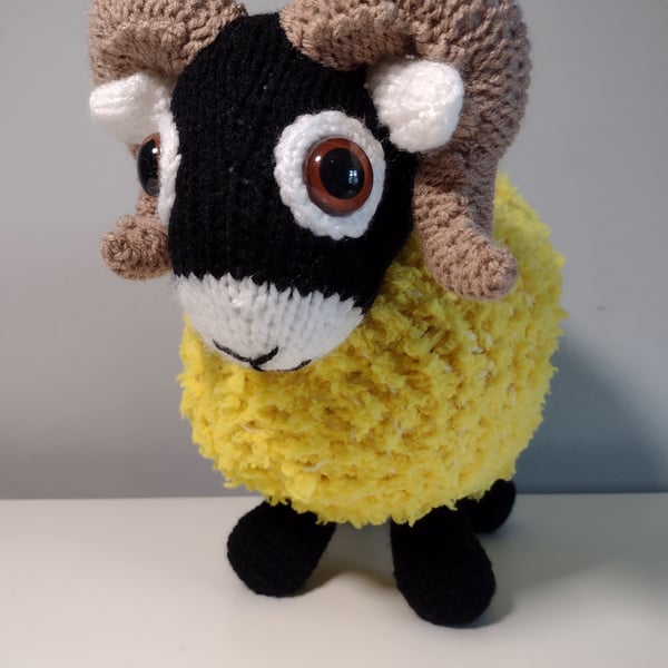 Sammy the Swaledale, Special Edition