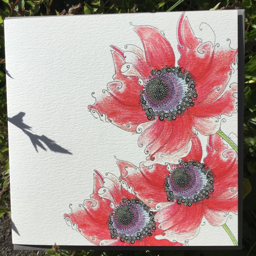 Beautiful Poppy Greeting card 