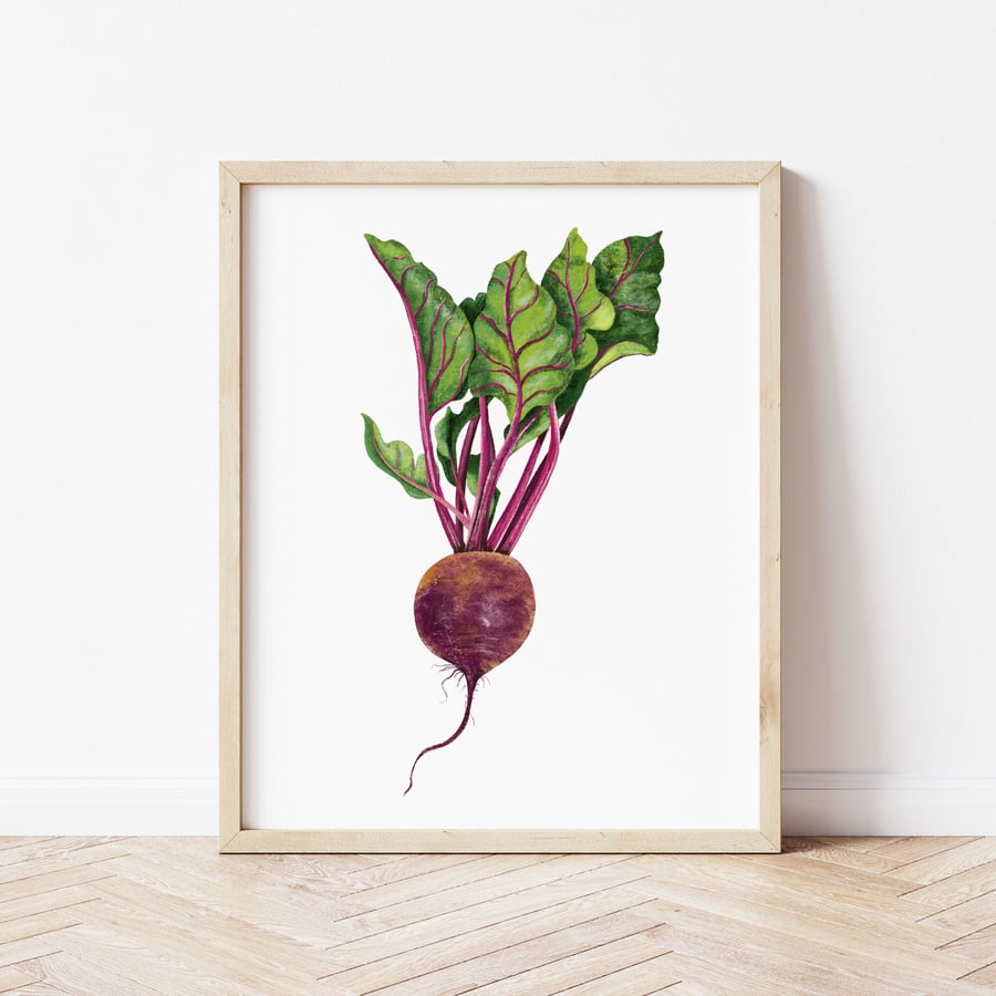 Beetroot Art Print, Beetroot Illustration, Vegetable Wall Art