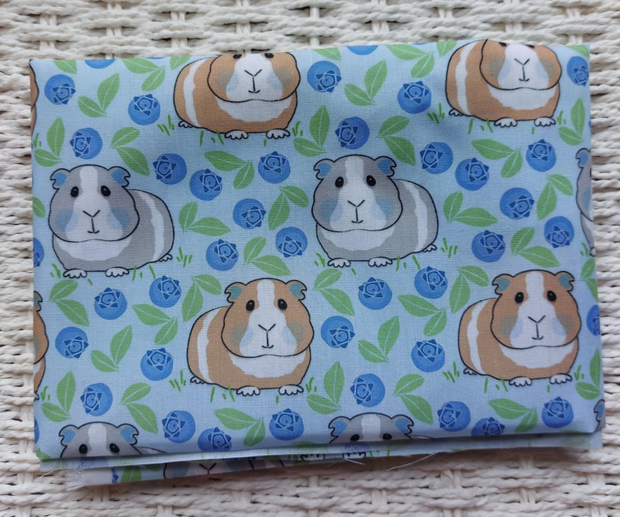 Fat Quarter of Blue Berries Guinea Pig Fabric 