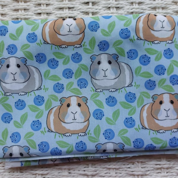 Fat Quarter of Blue Berries Guinea Pig Fabric 