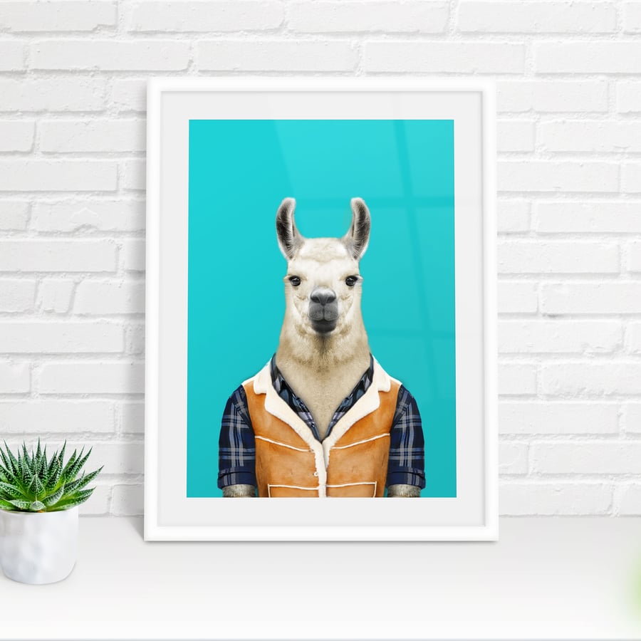 Llama in clothes print (Animalyser)