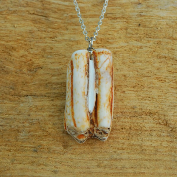 Tooth pendant