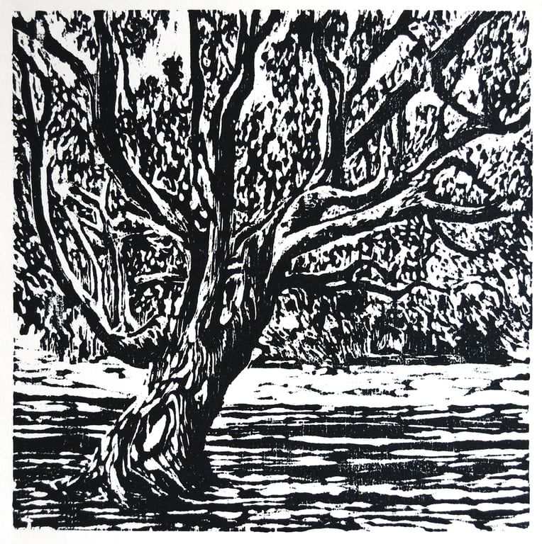 OAK - hand-pressed original wood cut print 