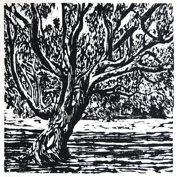 OAK - hand-pressed original wood cut print 