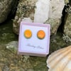 Small Fused Glass Stud Earrings on Sterling Silver.