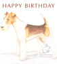 Bob the Fox Terrier - Birthday Card - Image 1