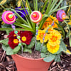 Set of 3 Whimsical Flower Plant Pot Stakes, Plant Pot Stakes, Garden Stakes
