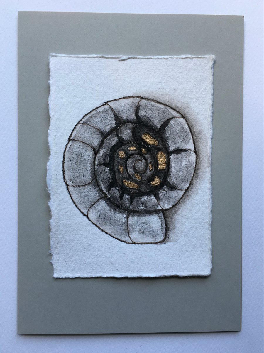 Grey Ammonite card 