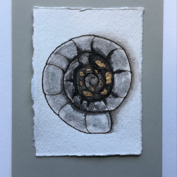 Grey Ammonite card 
