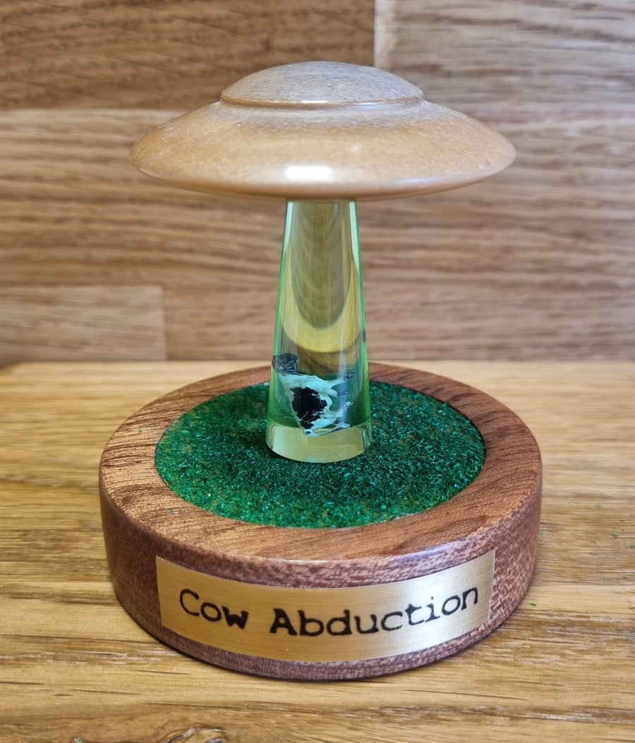 UFO Cow Abduction With Flickering Light